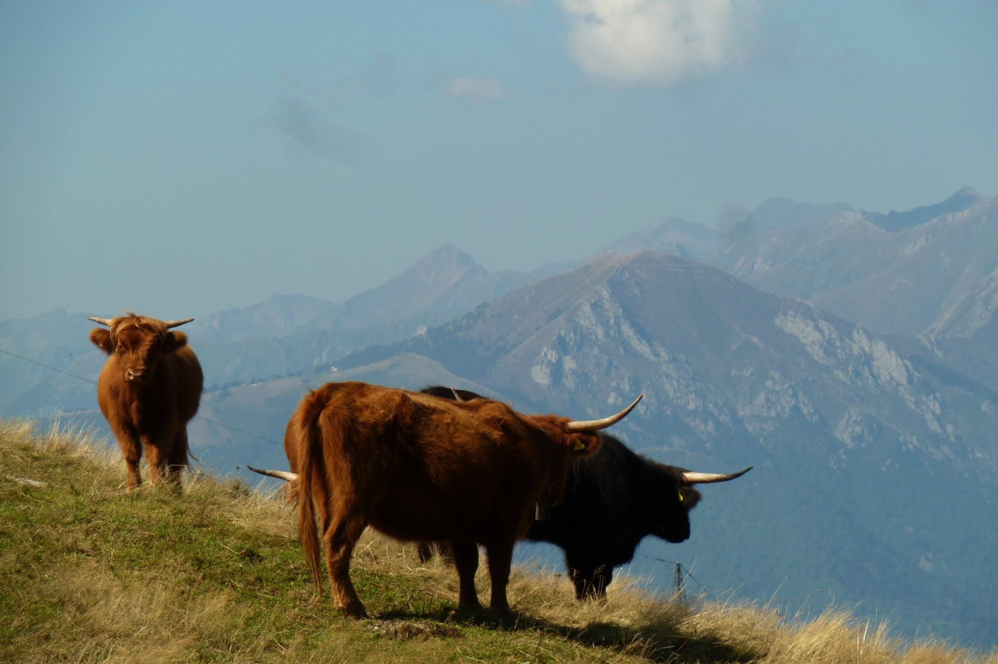 2015traversatadellago6457jpg 35988872012 o