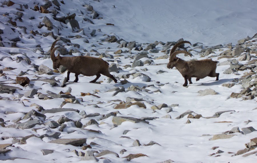 2015uscitaalpina2015 day26691jpg 36156294595 o