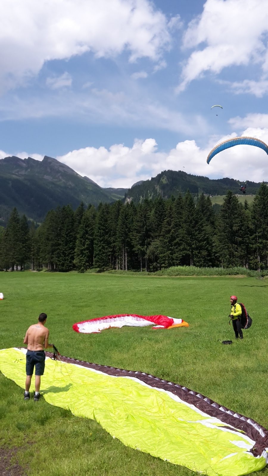 2016sanbernardino7226jpg 36116828646 o