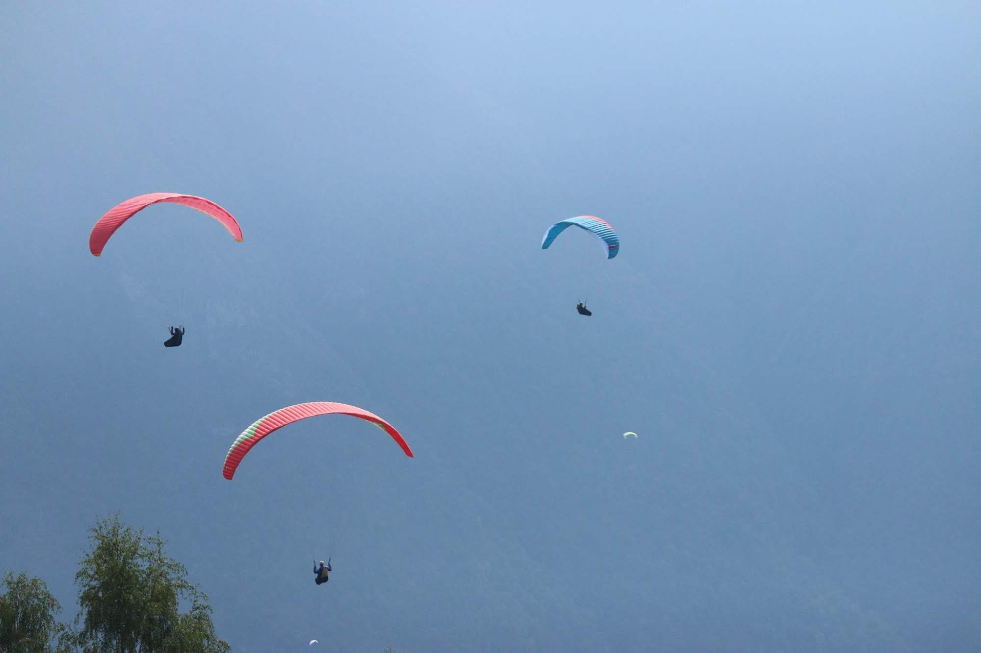 2016testivalleggiametteleali7381jpg 35988461202