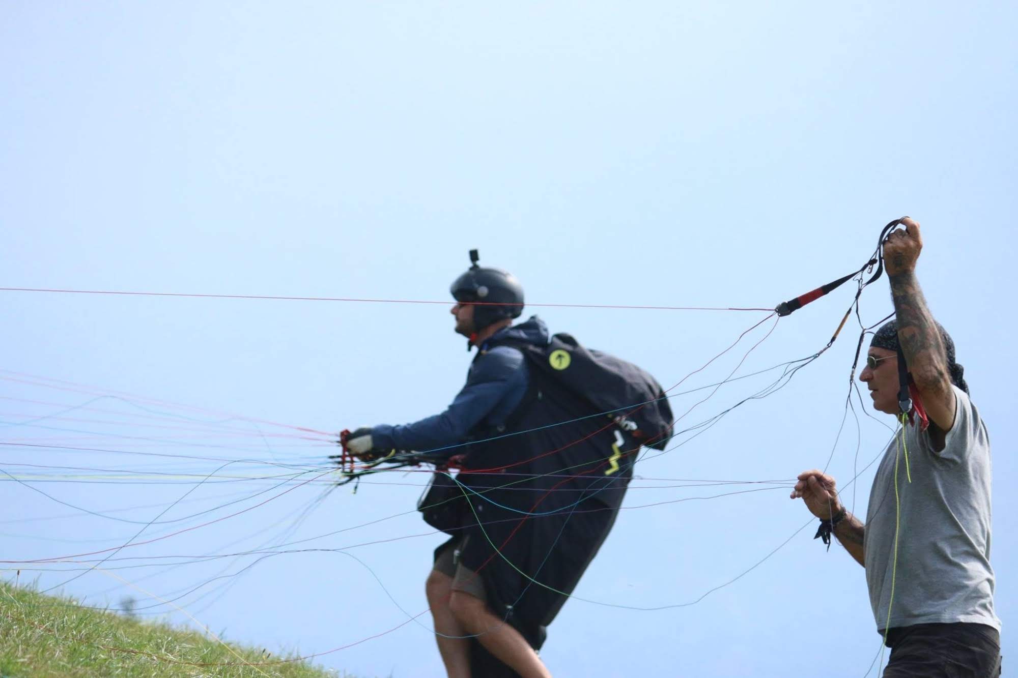 2016testivalleggiametteleali7399jpg 35988456012