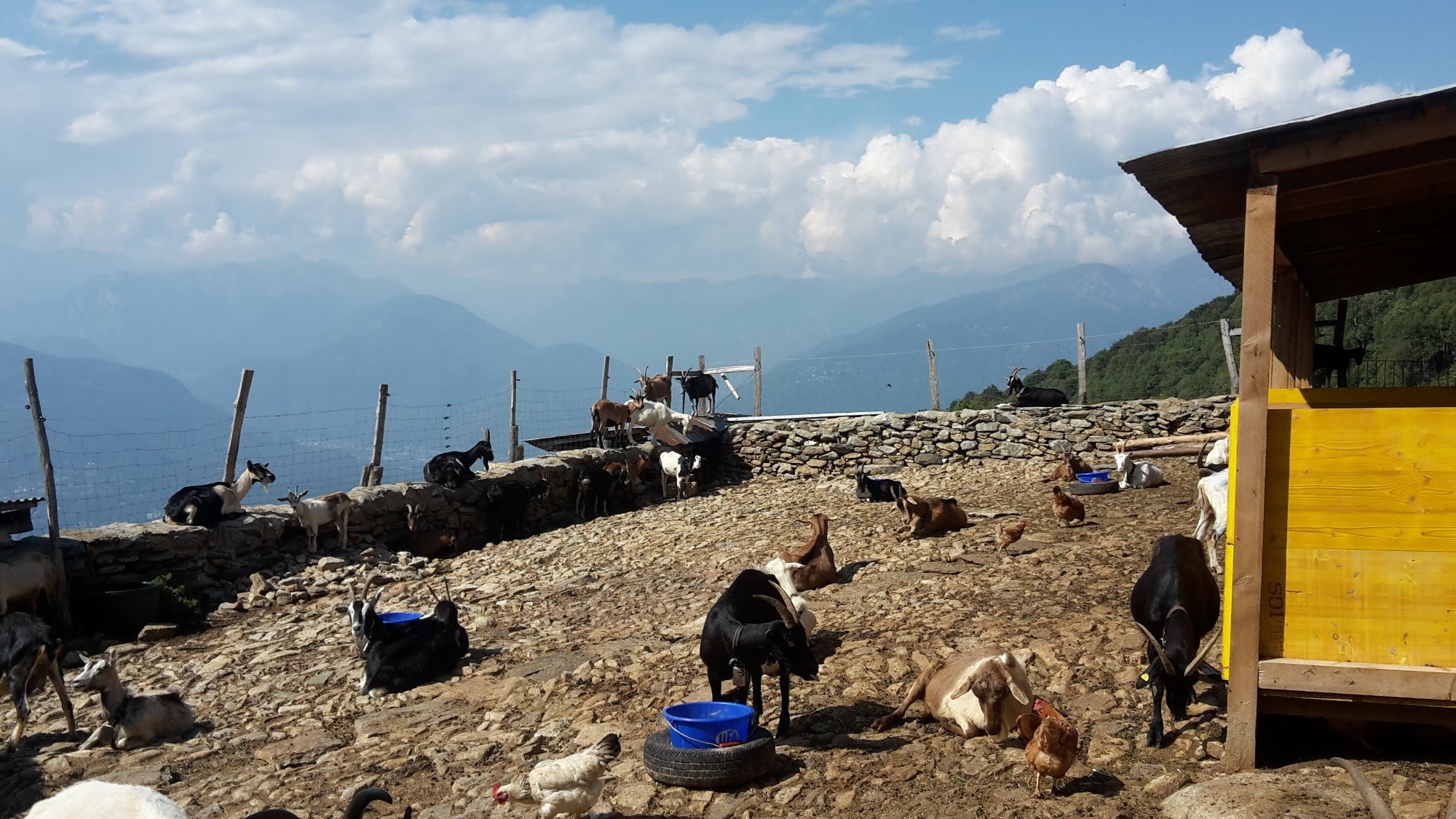 2016traversatadellago7243jpg 36156055375 o