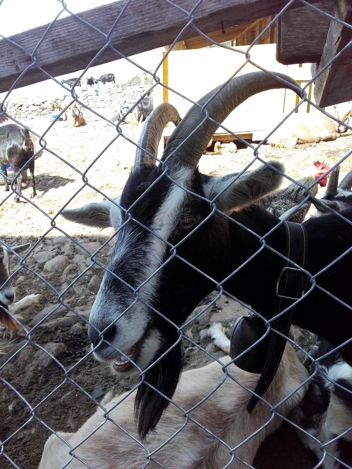 2016traversatadellago7294jpg 35988354102 o