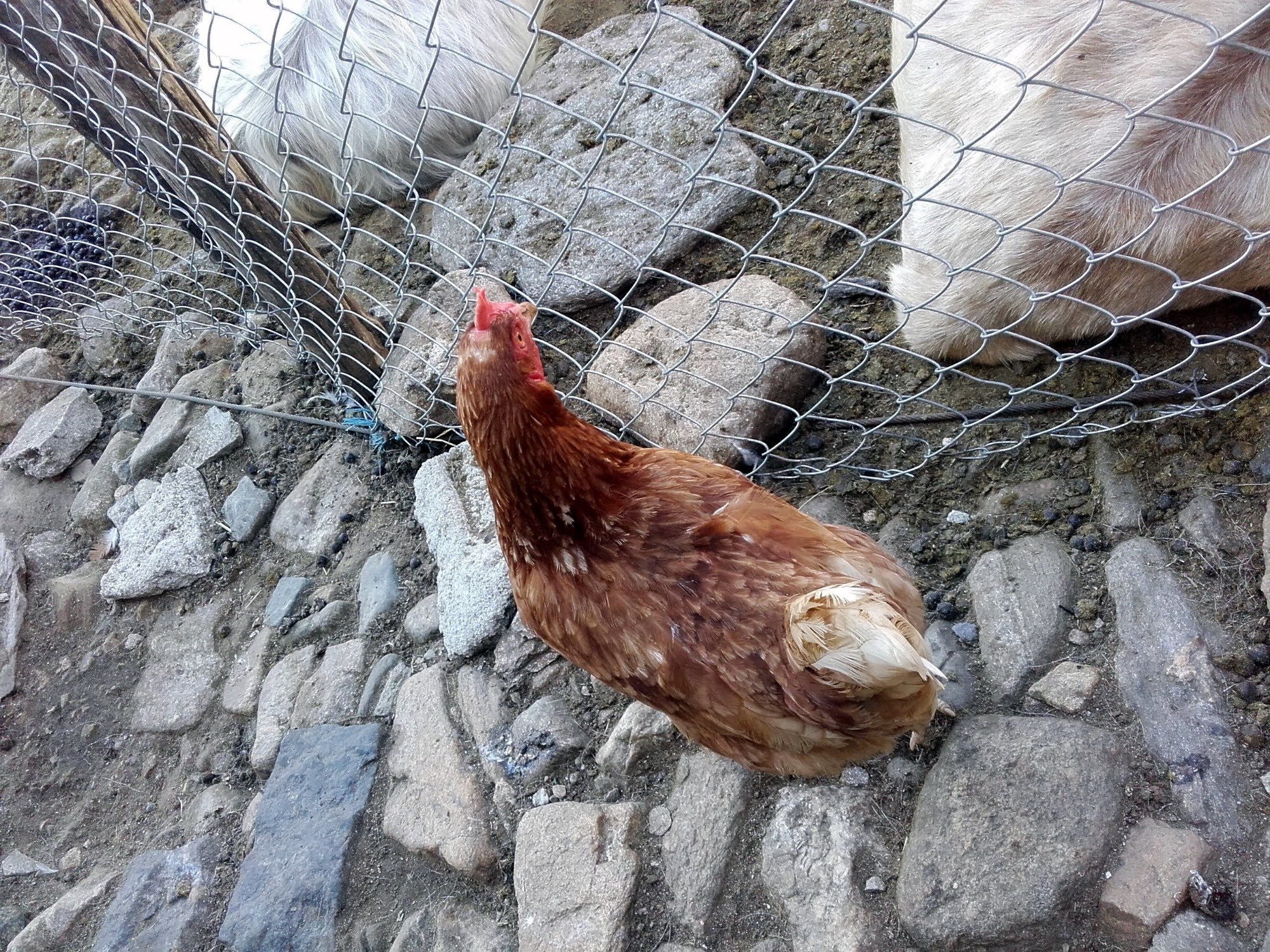 2016traversatadellago7295jpg 35349825563 o