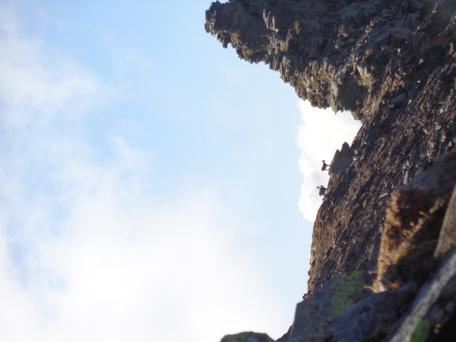 2016uscitaalpina7451jpg 36133939005 o