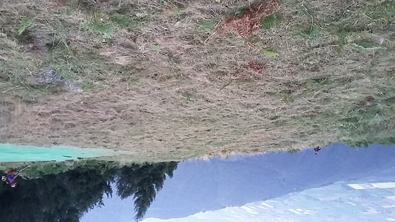 20170908 190338 36975029872 o