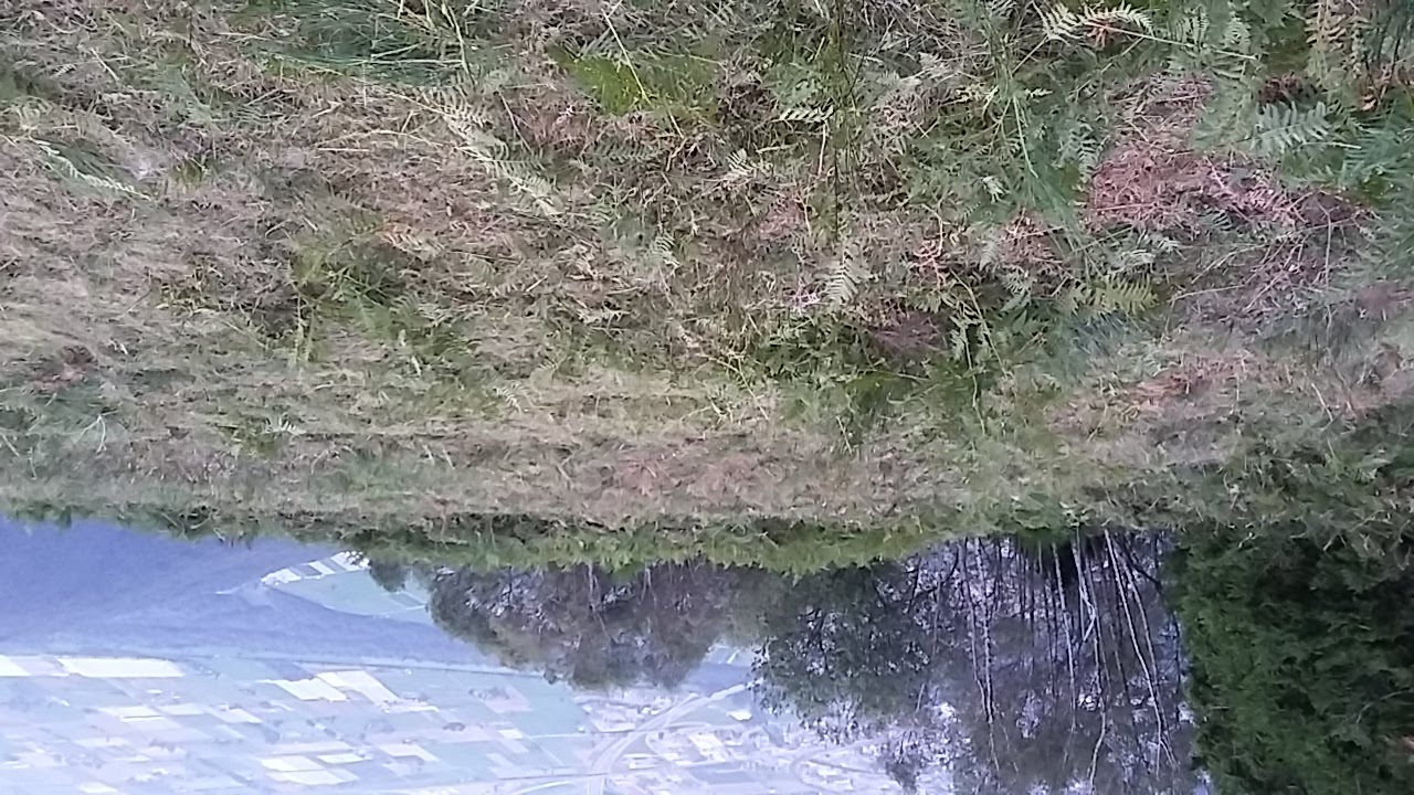 20170908 190343 36332593073 o