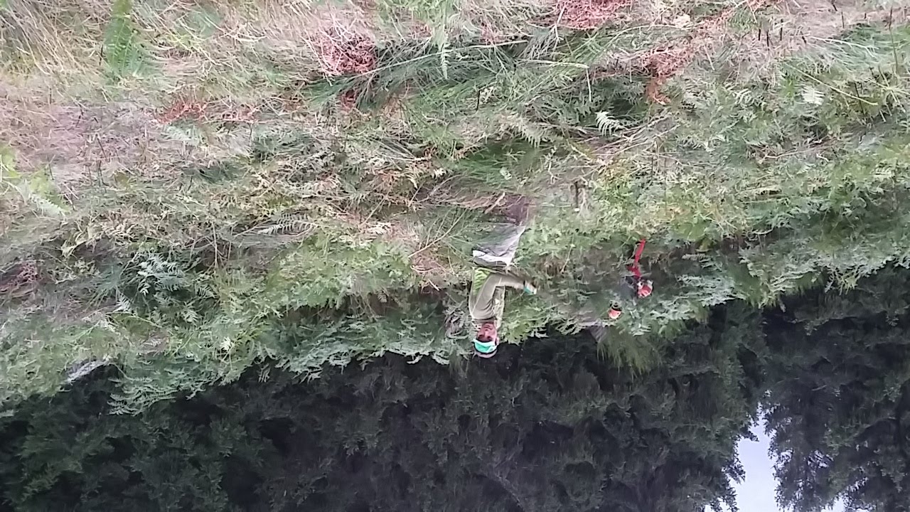 20170908 192432 36332588653 o