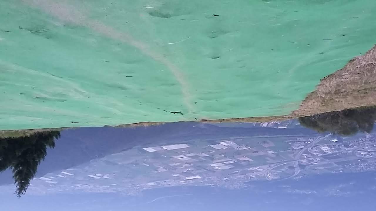 20170908 193655 37004132041 o