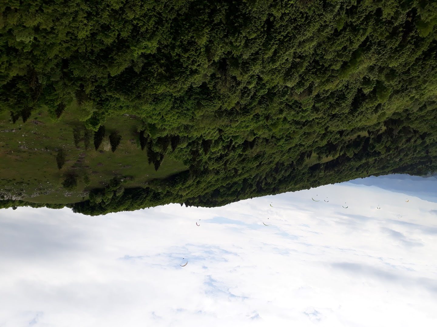 20180511 111045 large 42139207554 o