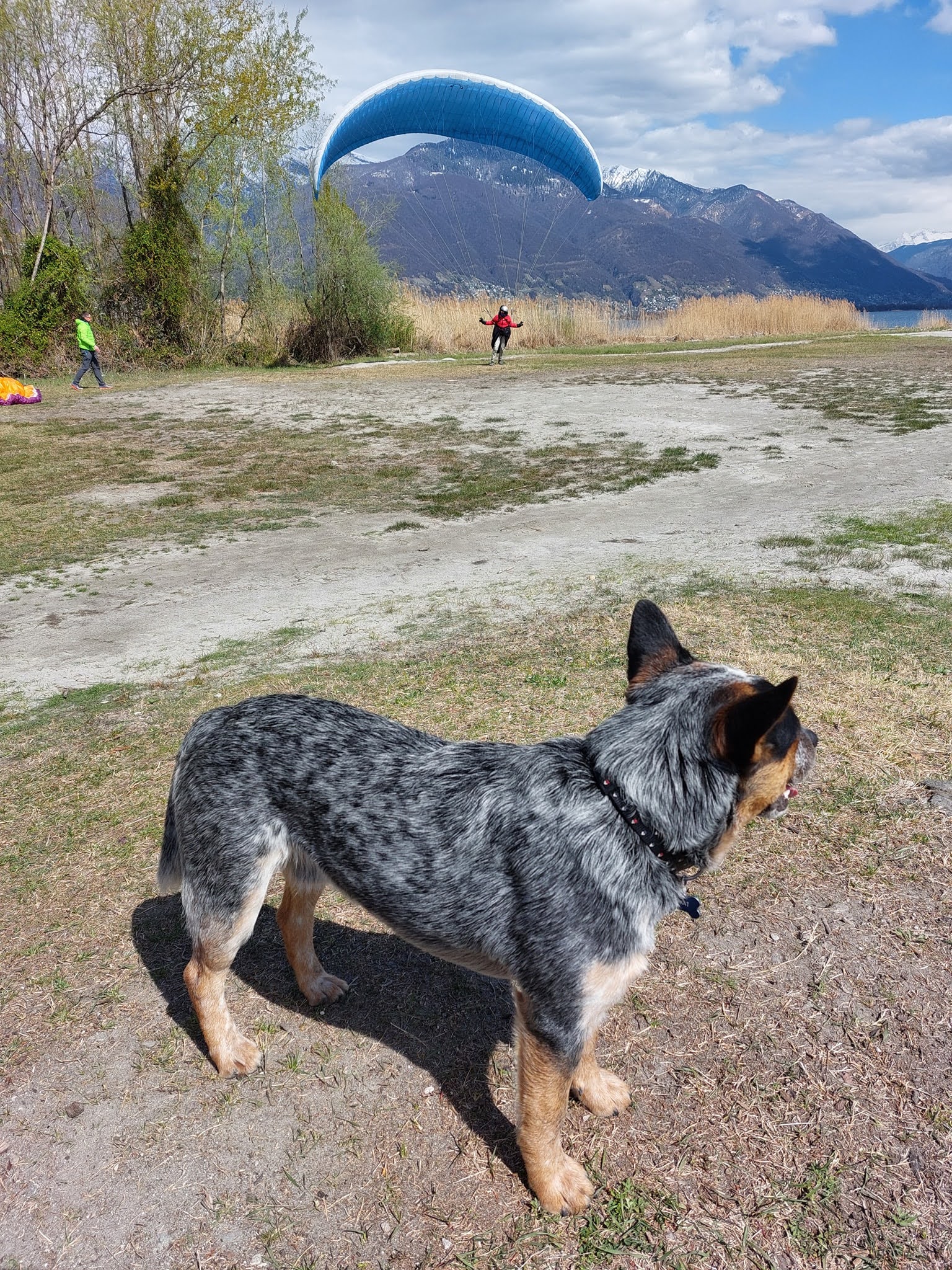 277248935 5358395654191303 4016307472221495086 