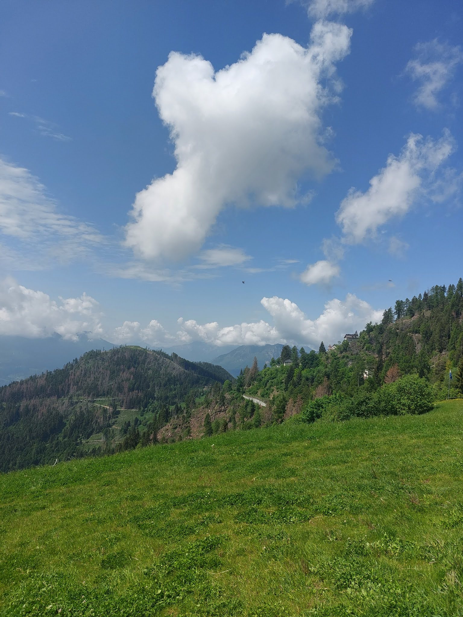 282032623 5506589506038583 5332309541088285487 