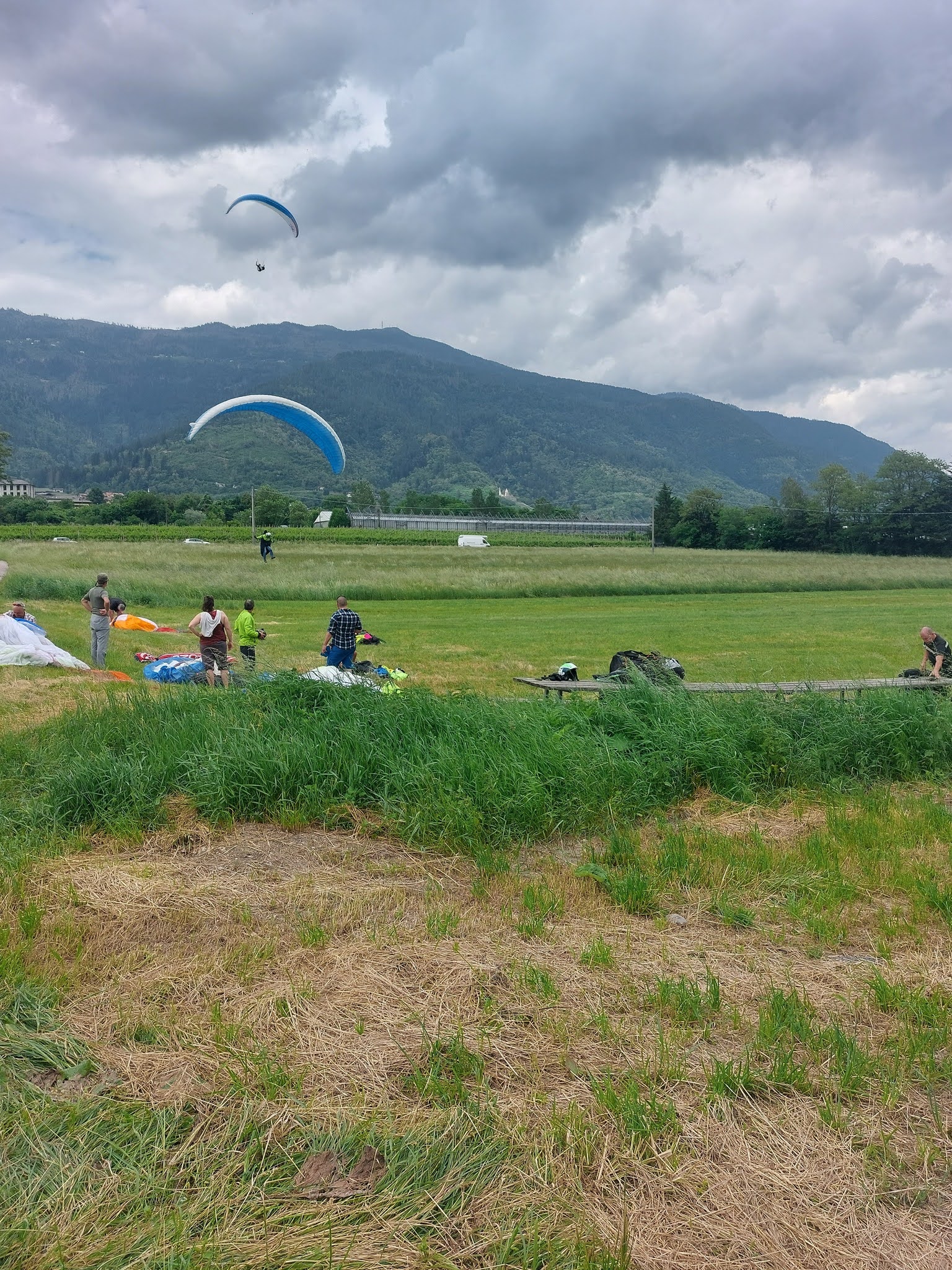 283529859 5506904279340439 8145371085404249613 