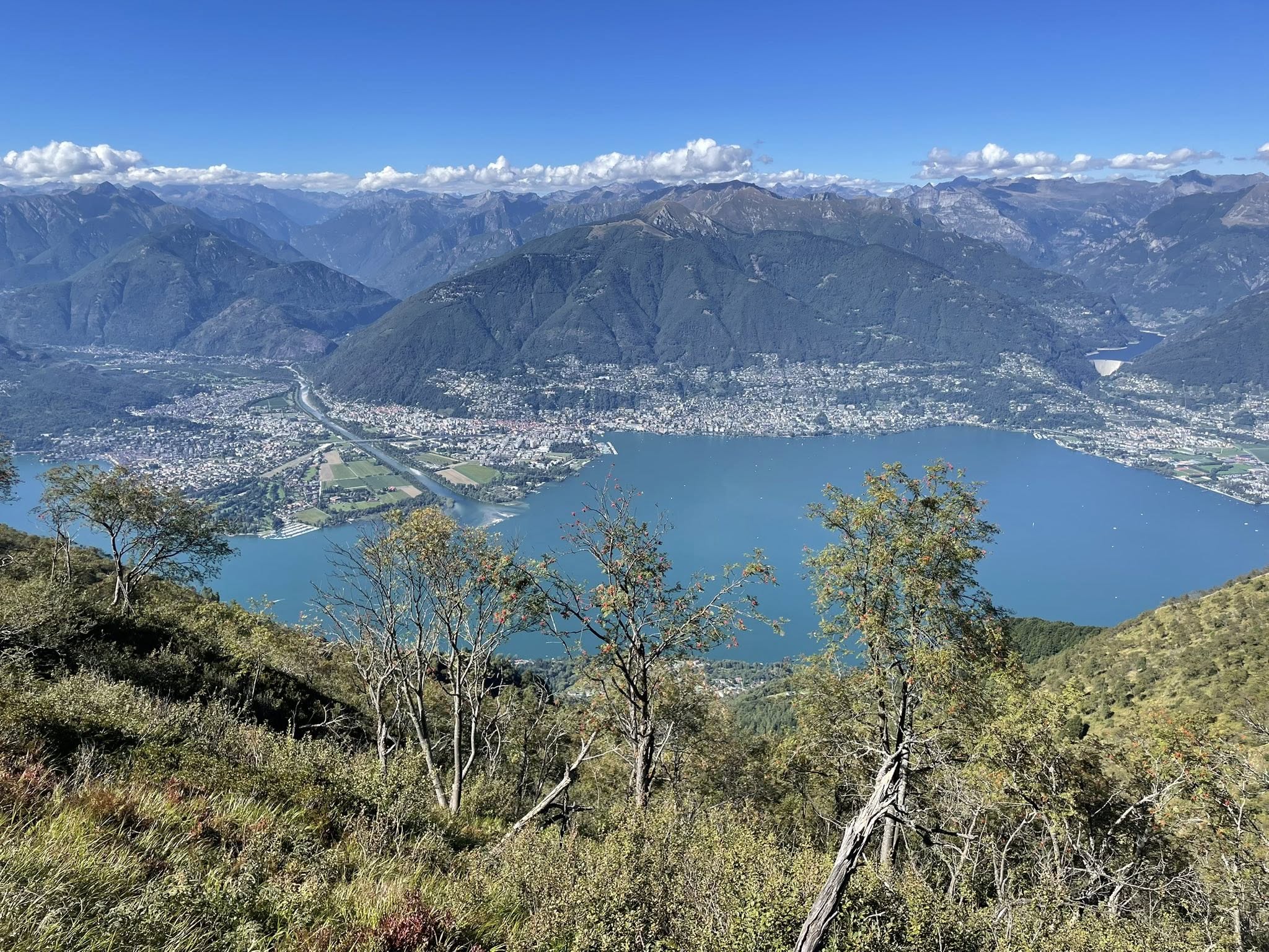 543110034 10223821235398724 5211874539307841826