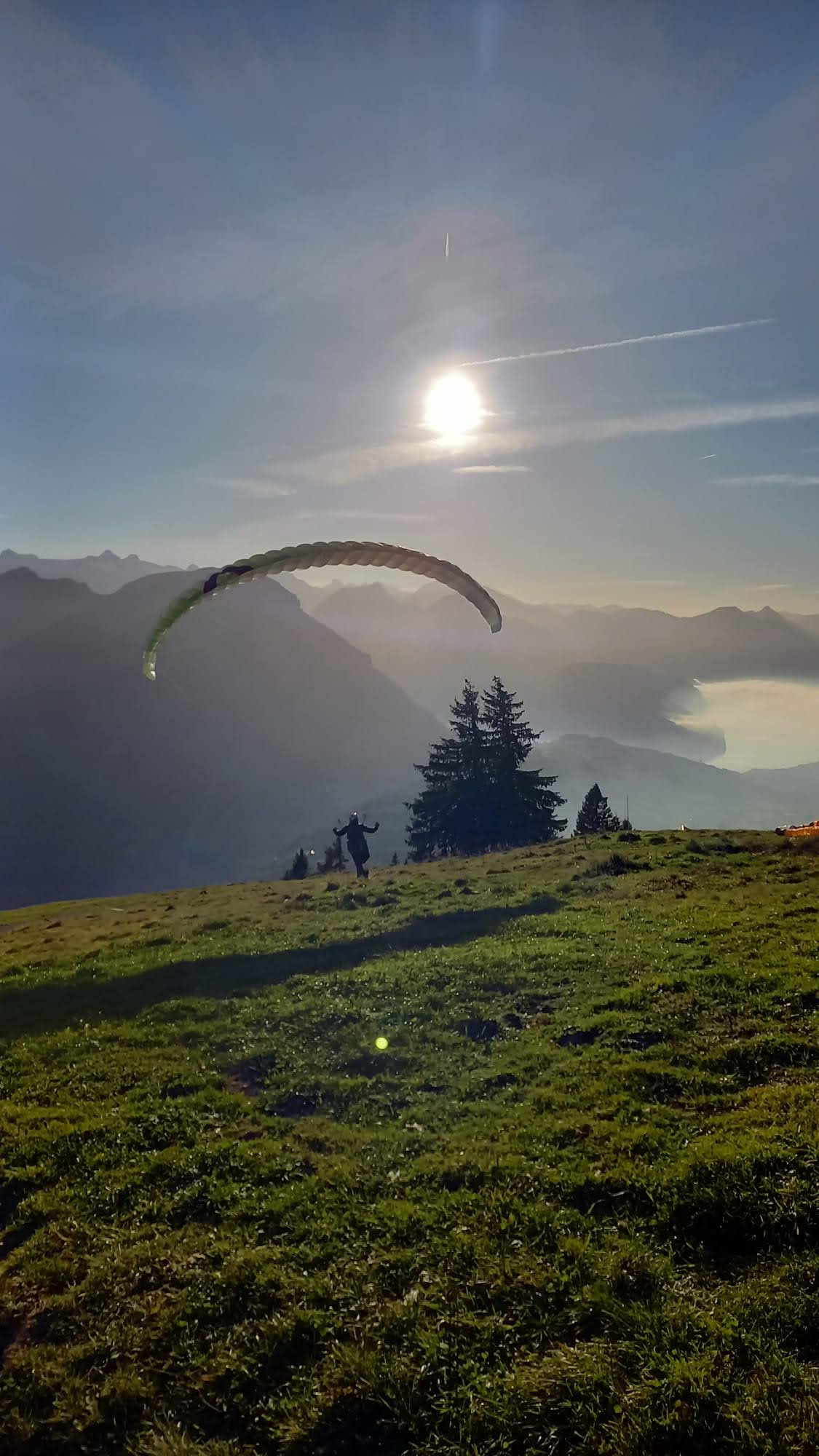 Immagine WhatsApp 2024 11 01 ore 15.52.29 36159