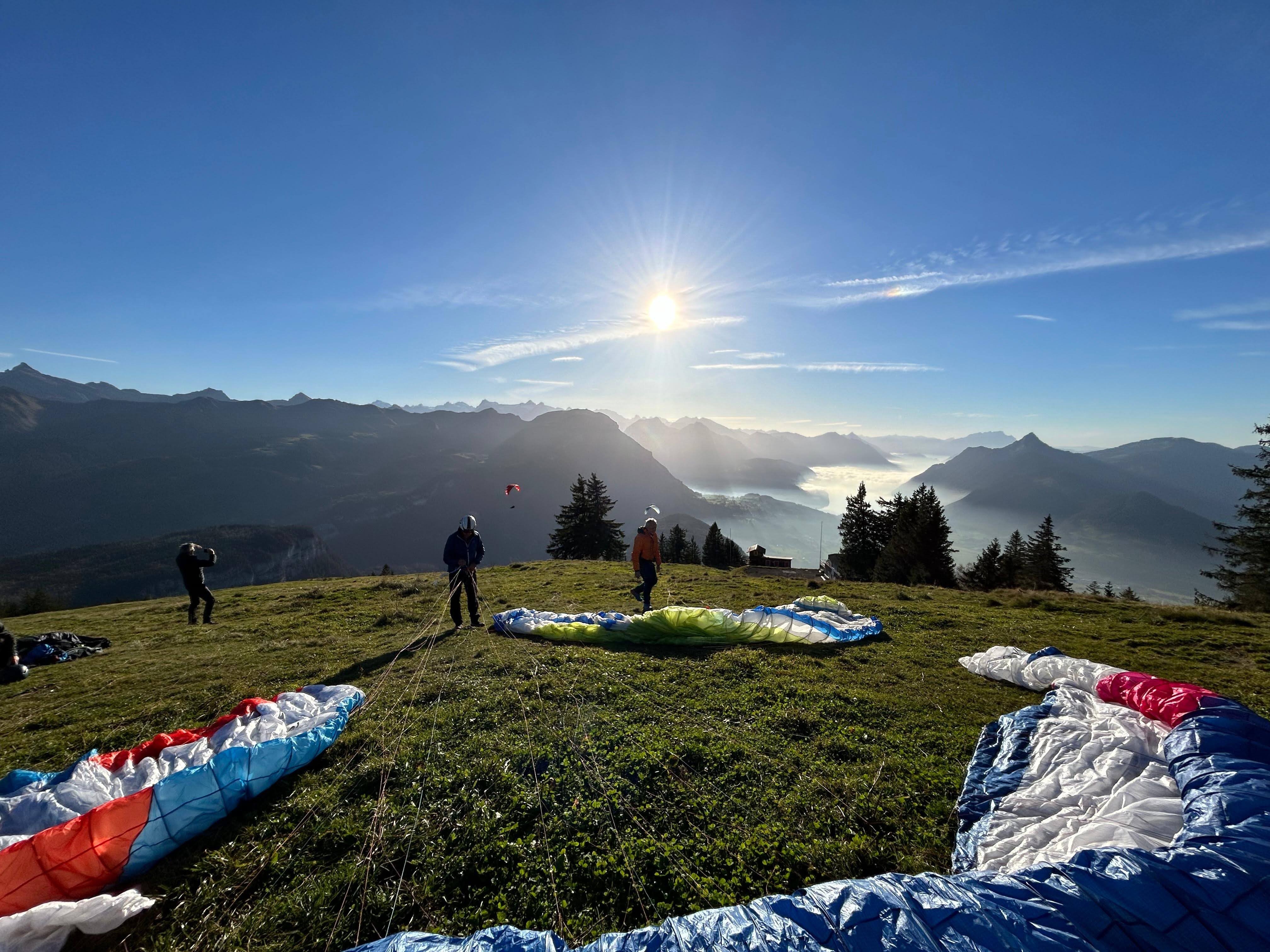 Immagine WhatsApp 2024 11 01 ore 16.12.16 e68c3