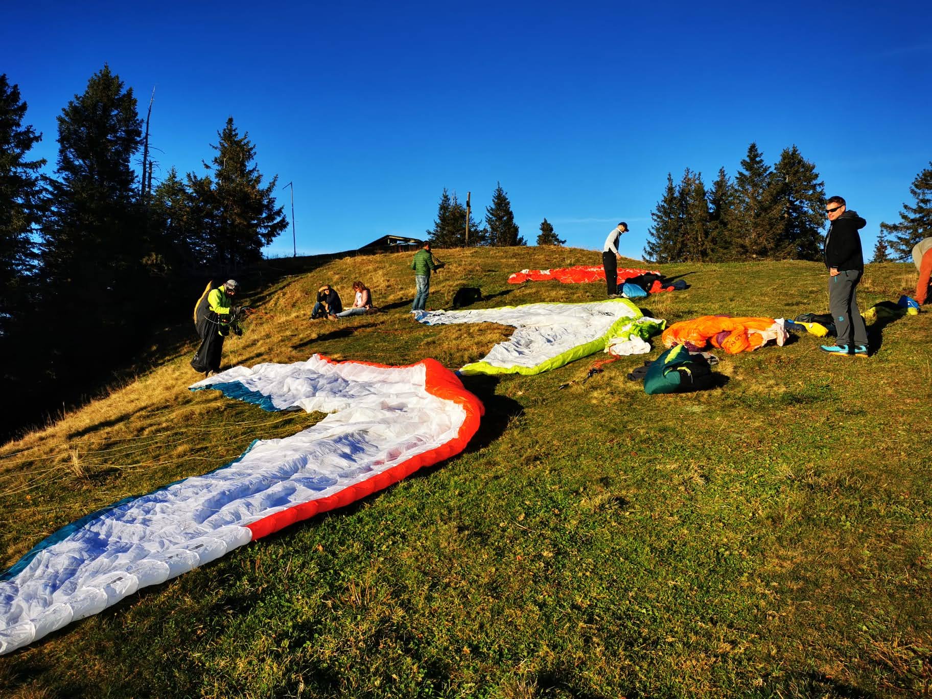 Immagine WhatsApp 2024 11 01 ore 17.11.44 c0015