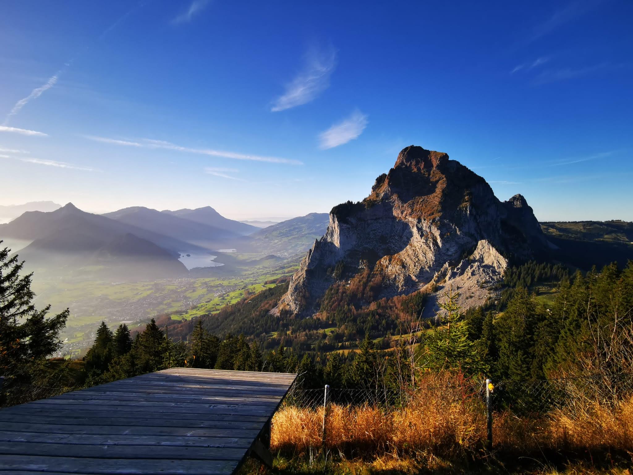 Immagine WhatsApp 2024 11 01 ore 17.11.45 99731