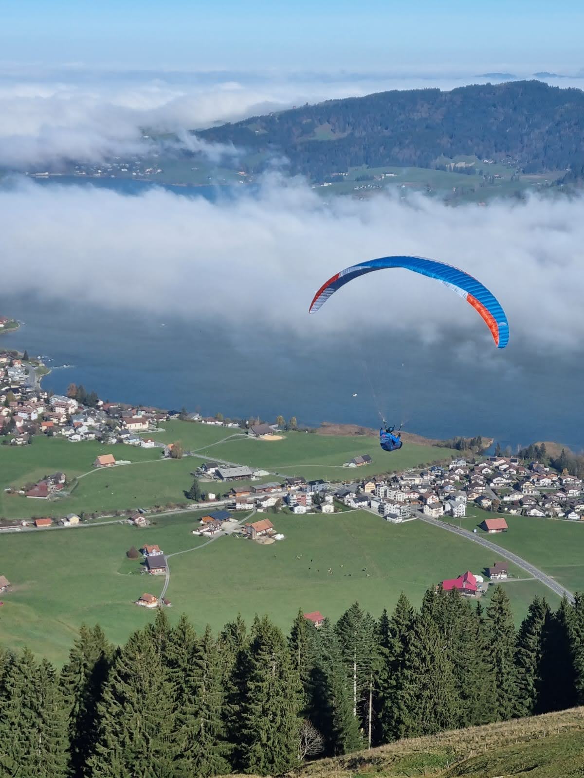 Immagine WhatsApp 2024 11 02 ore 11.52.19 39731