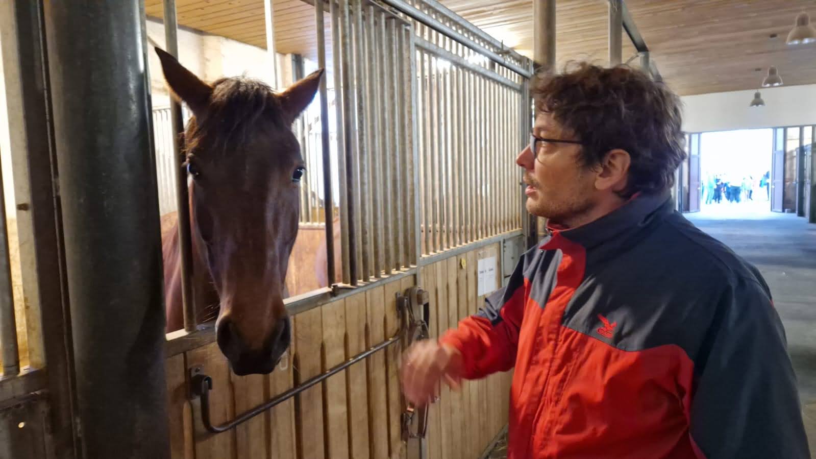 Immagine WhatsApp 2024 11 02 ore 16.06.16 c81bd