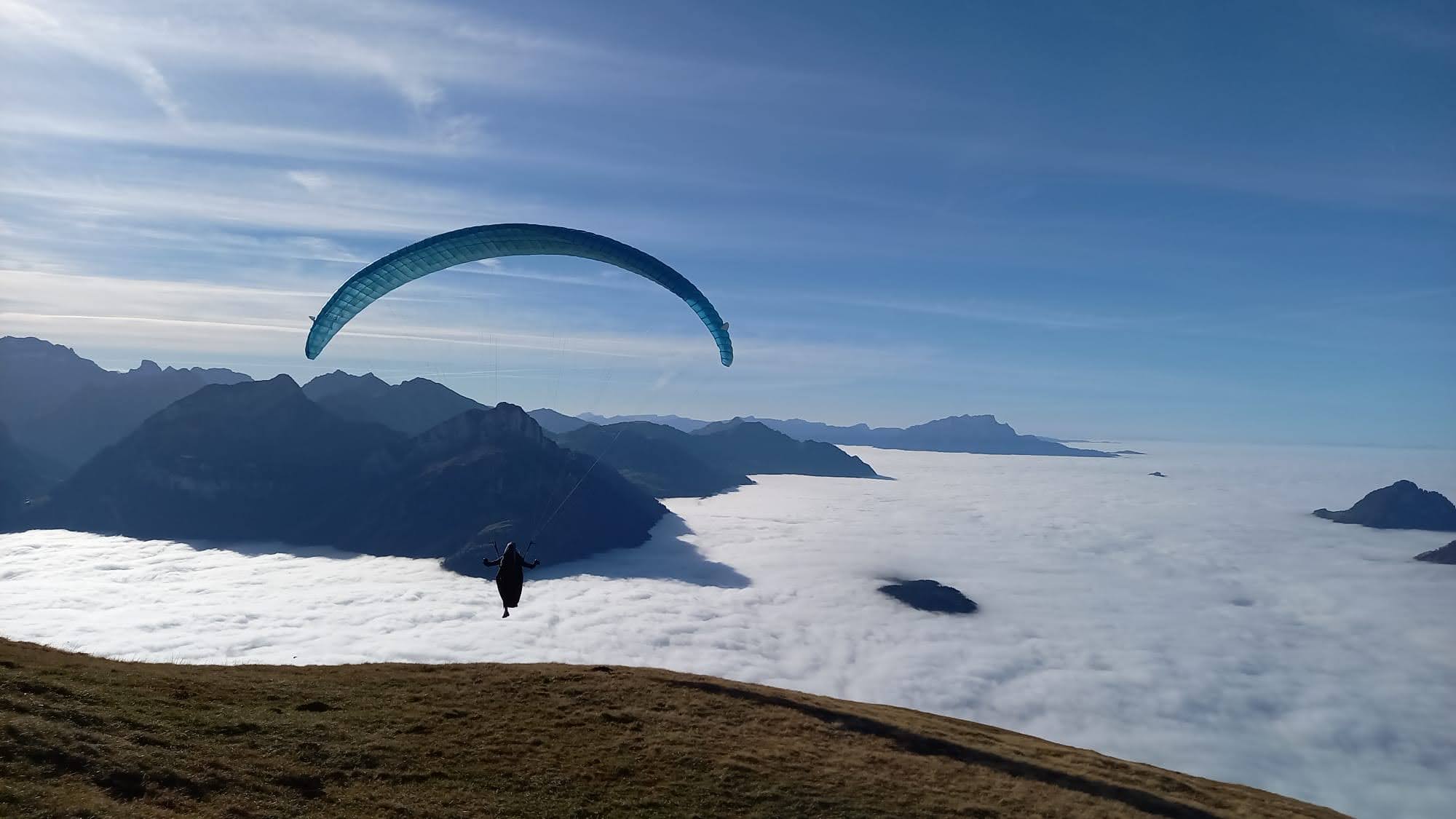 Immagine WhatsApp 2024 11 03 ore 16.26.58 cf199