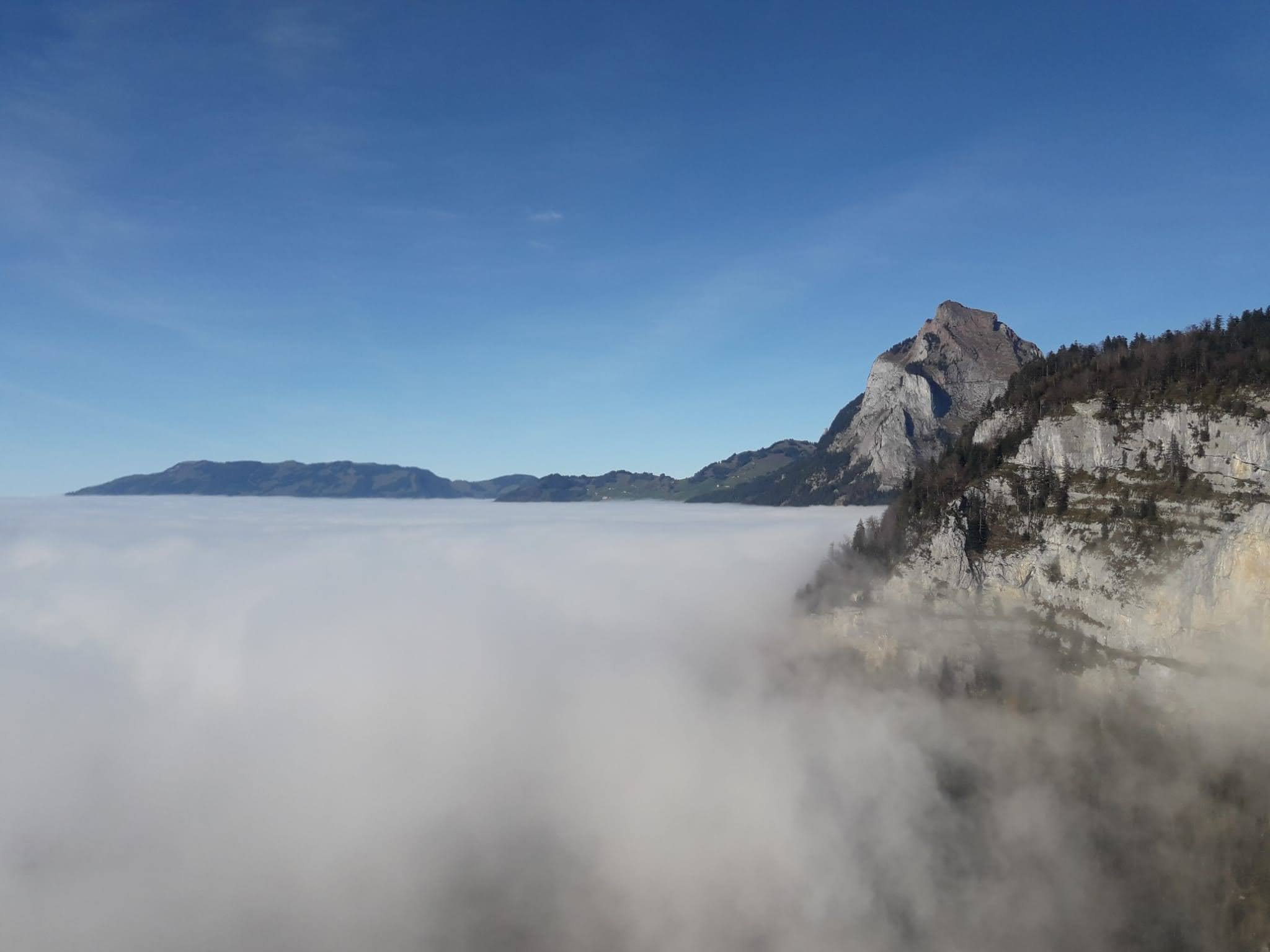 Immagine WhatsApp 2024 11 04 ore 16.19.57 53f2f