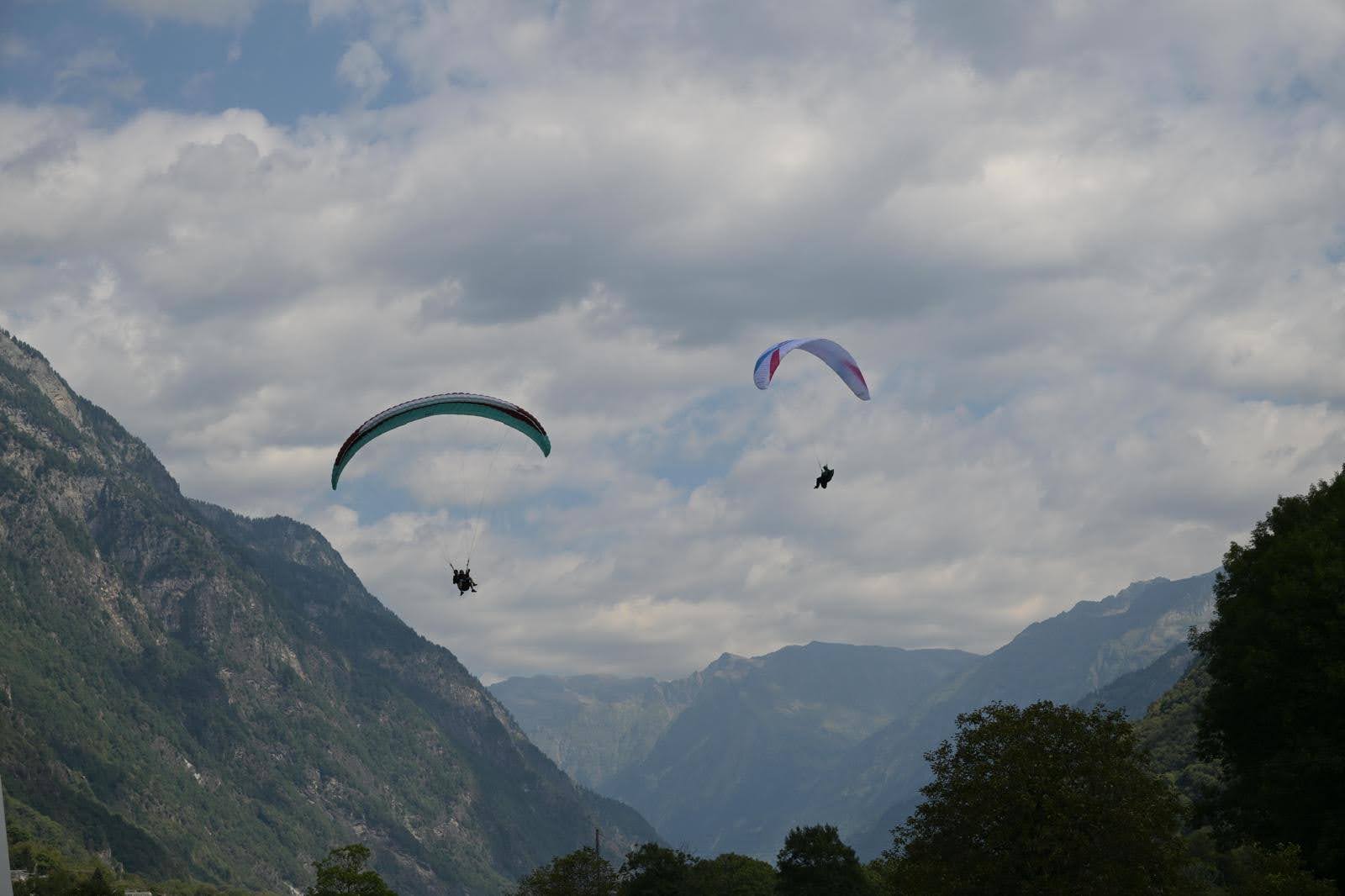 Immagine WhatsApp 2025 08 27 ore 16.50.22 3e284