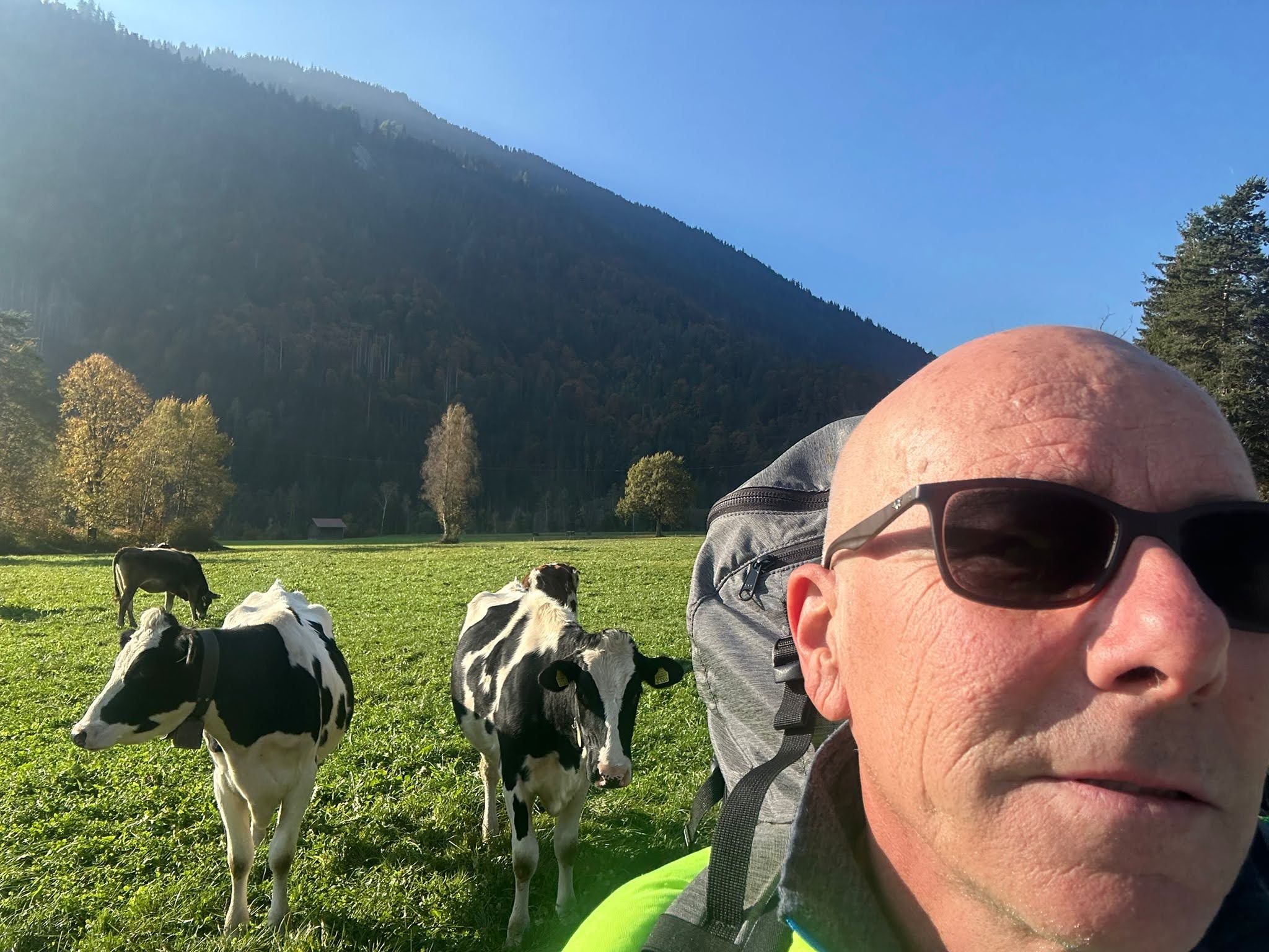 Immagine WhatsApp 2025 10 17 ore 15.49.01 d8c0a