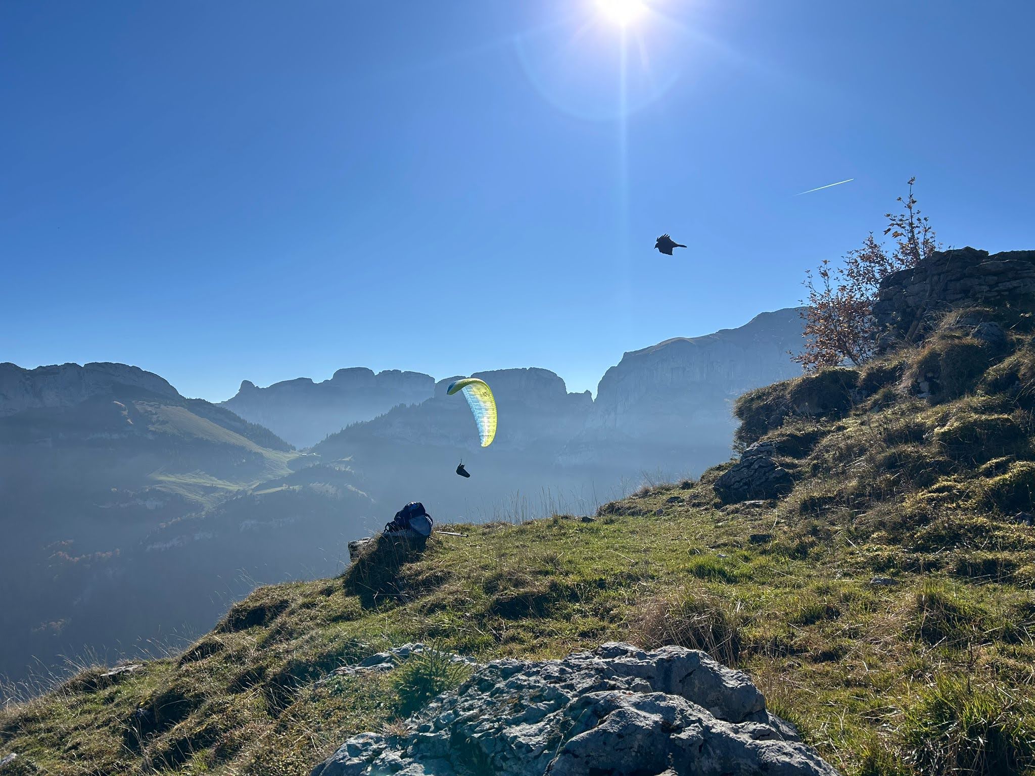 Immagine WhatsApp 2025 10 18 ore 15.50.14 78c55