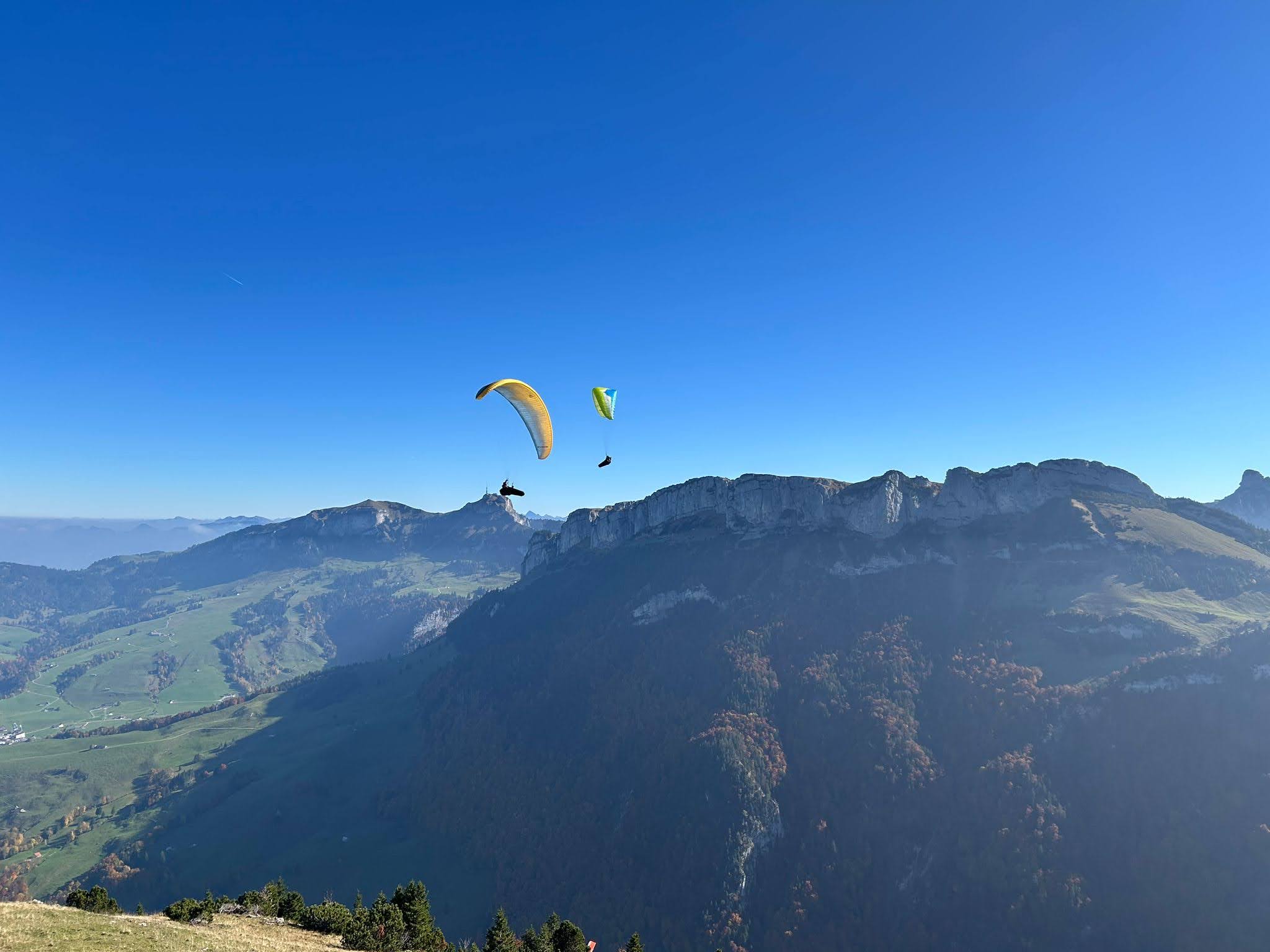 Immagine WhatsApp 2025 10 18 ore 15.50.18 111ae