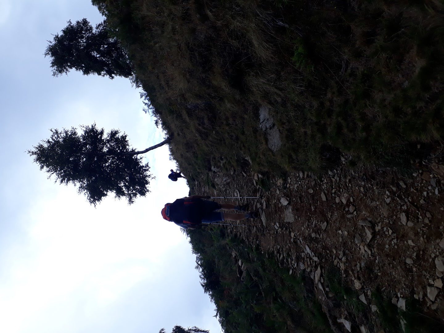 attraversata 2018 4 29608002977 o