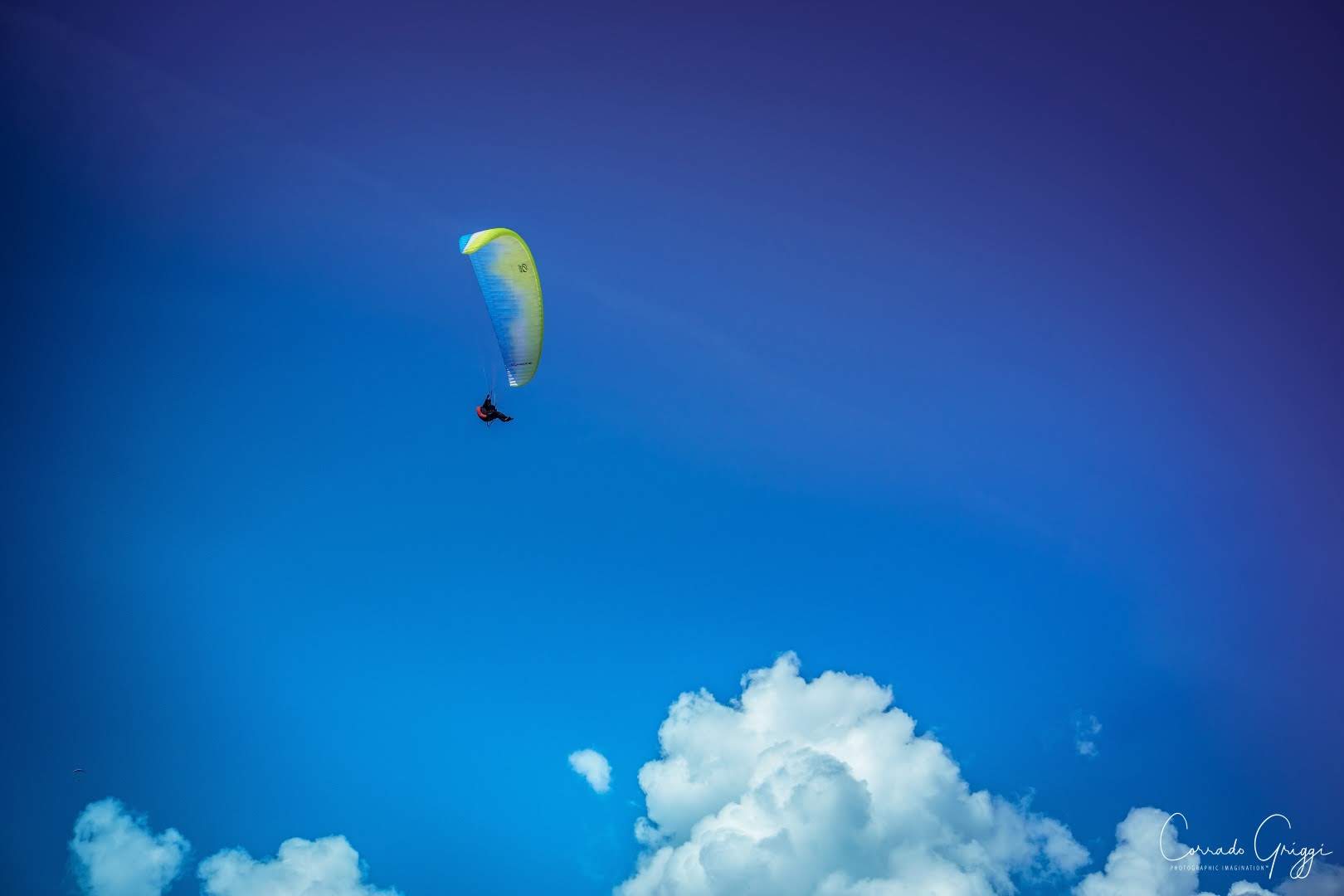 coop 11 30560780757 o