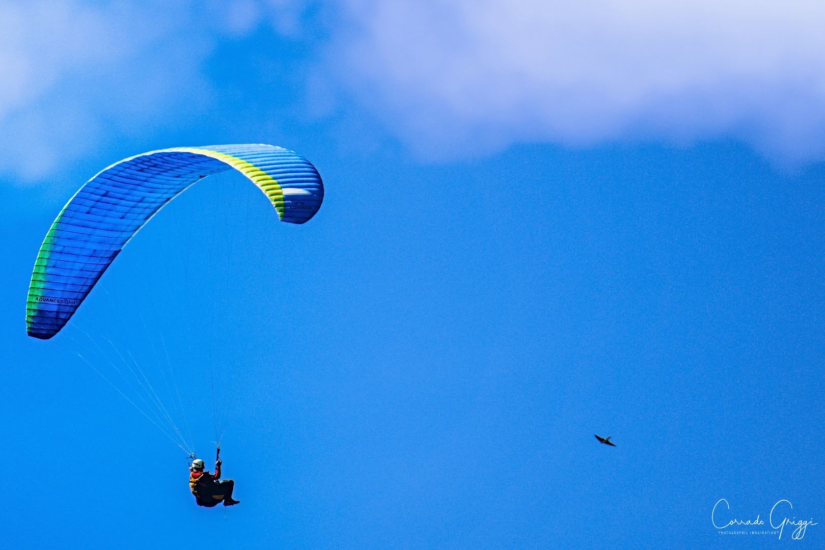 coop 12 44587437895 o