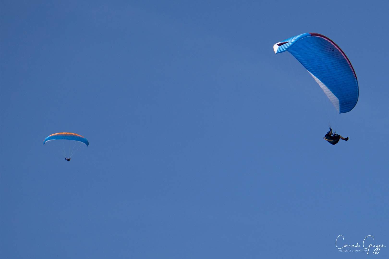 coop 13 31628458918 o