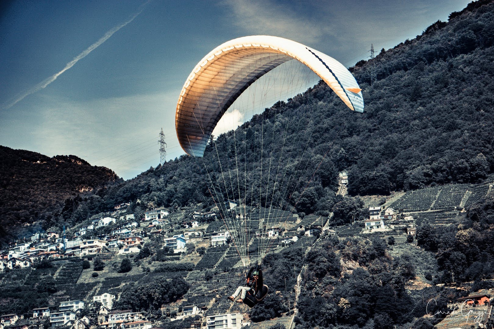 coop 14 44587437585 o