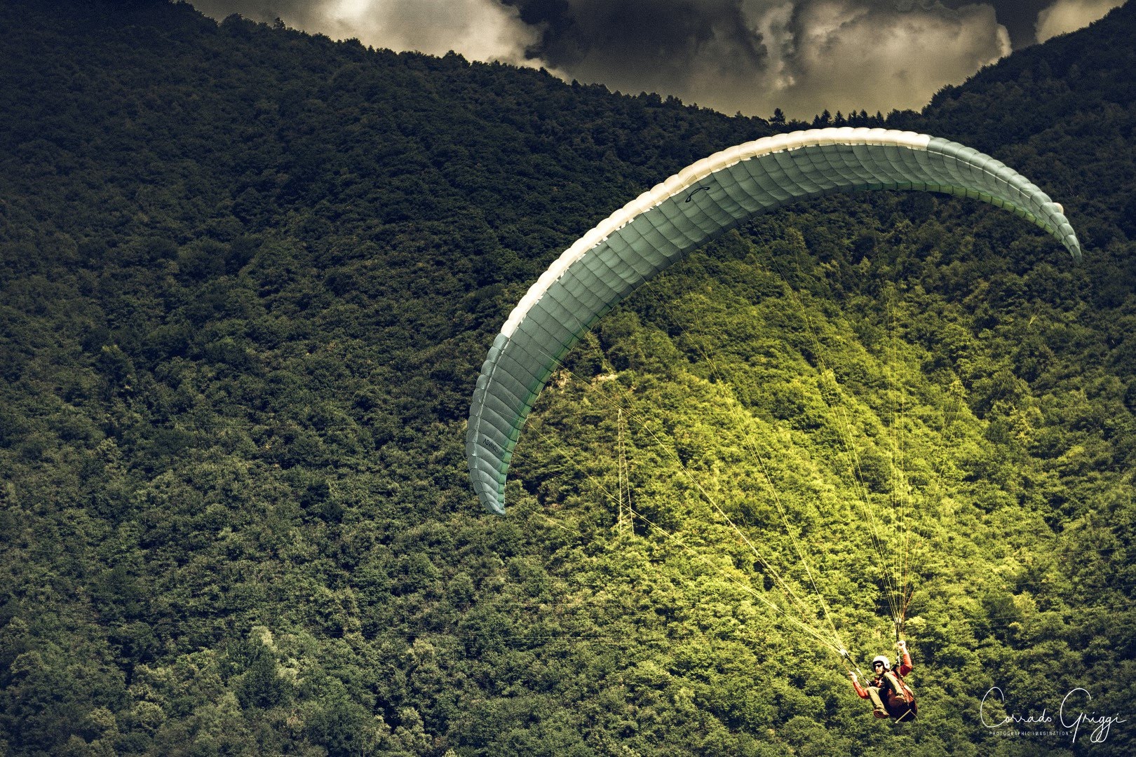 coop 17 44587435645 o