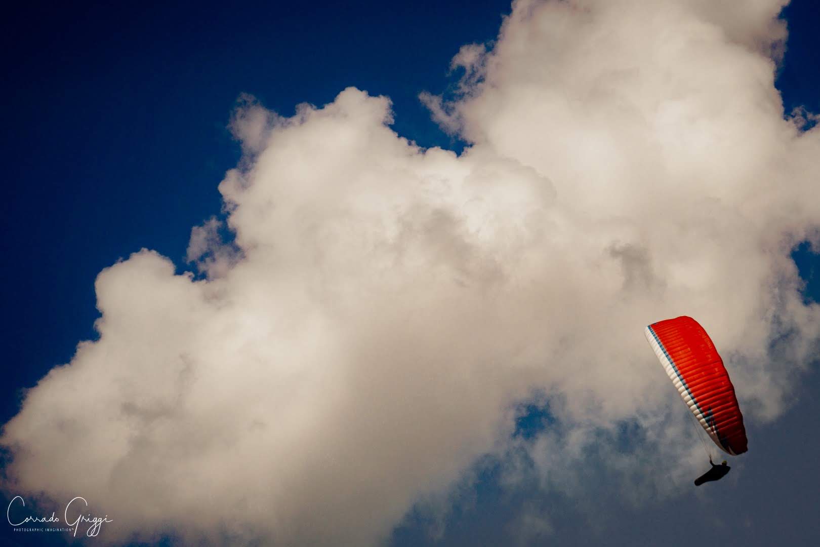 coop 19 44587435325 o