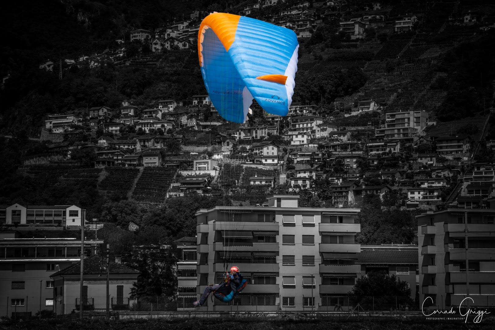 coop 22 44587436195 o