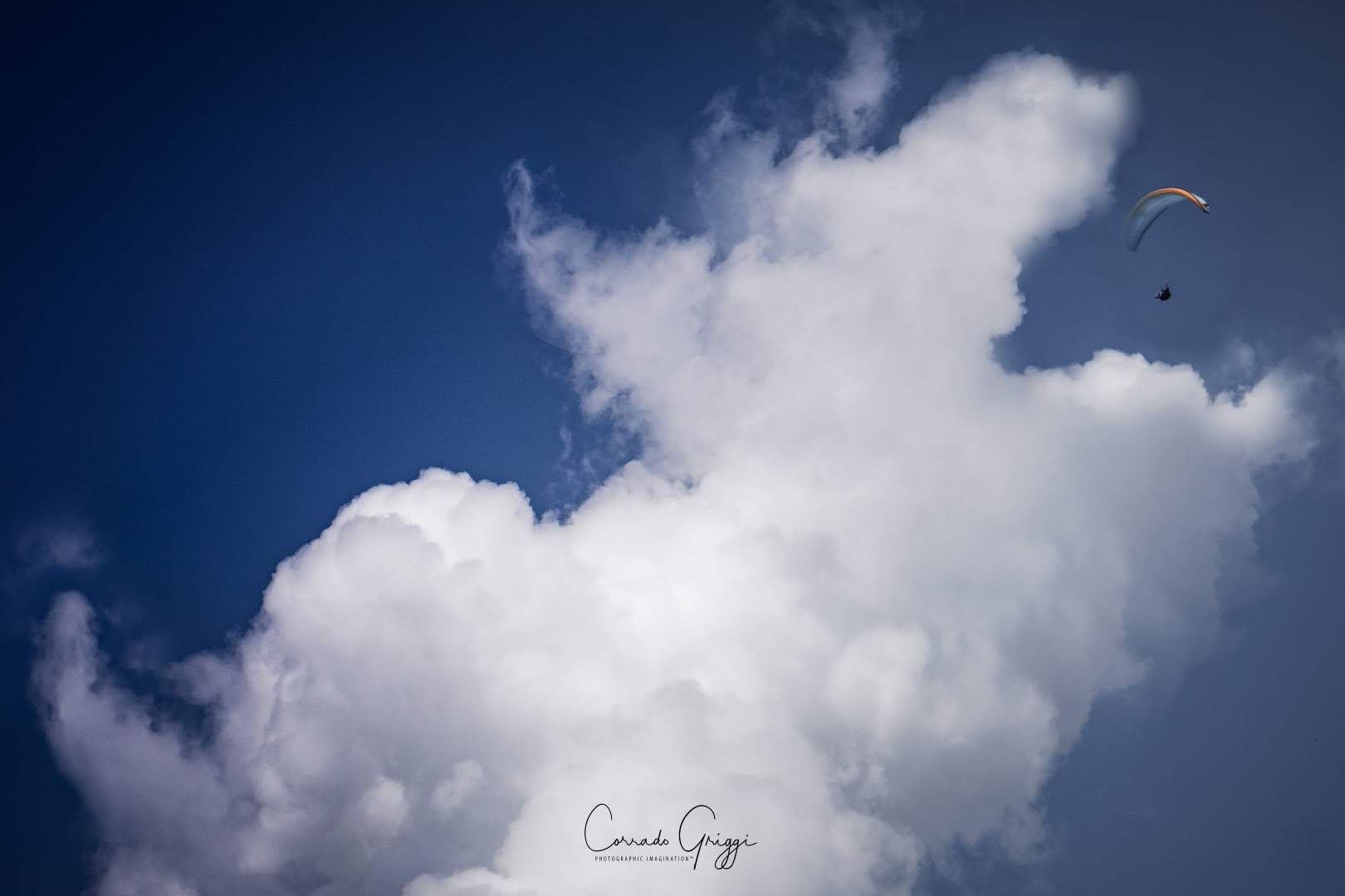 coop 2 30560782227 o