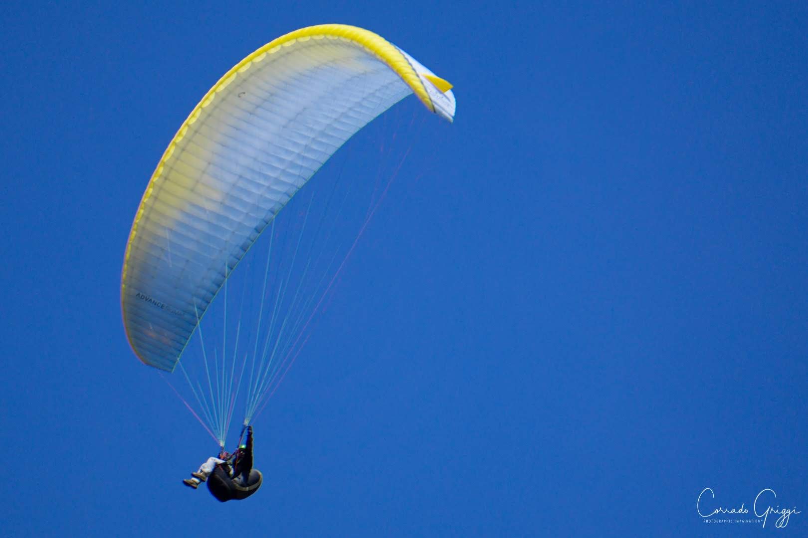 coop 6 44587438865 o