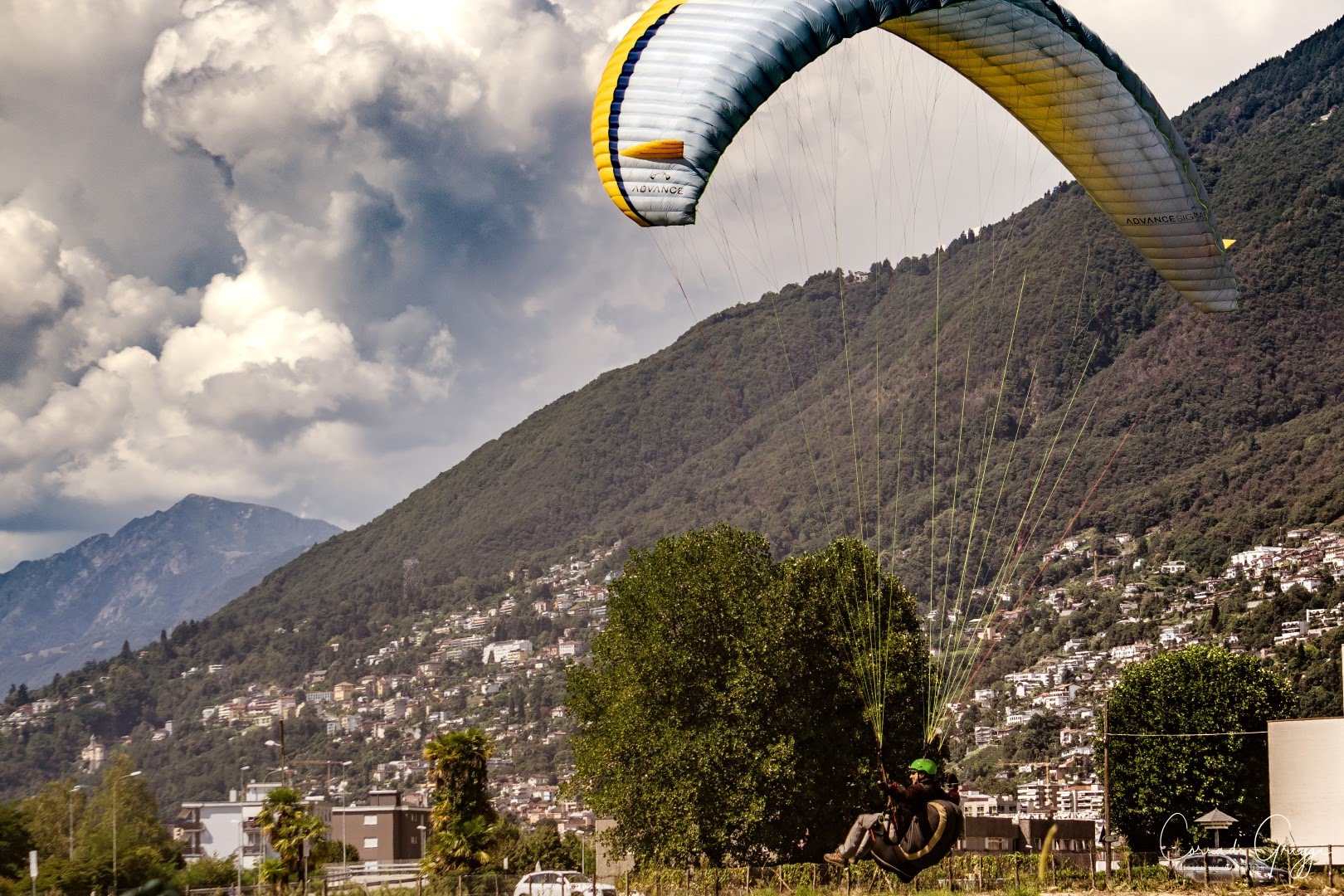 coop 9 44587438405 o