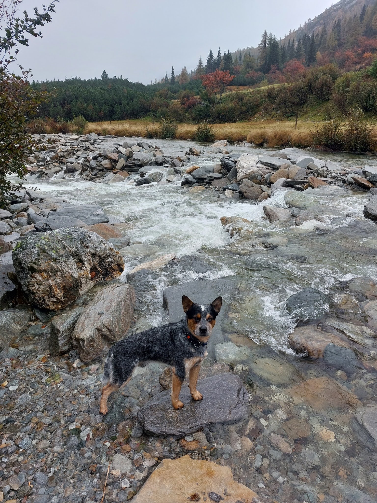 cvlt heidiland 2022 (5)