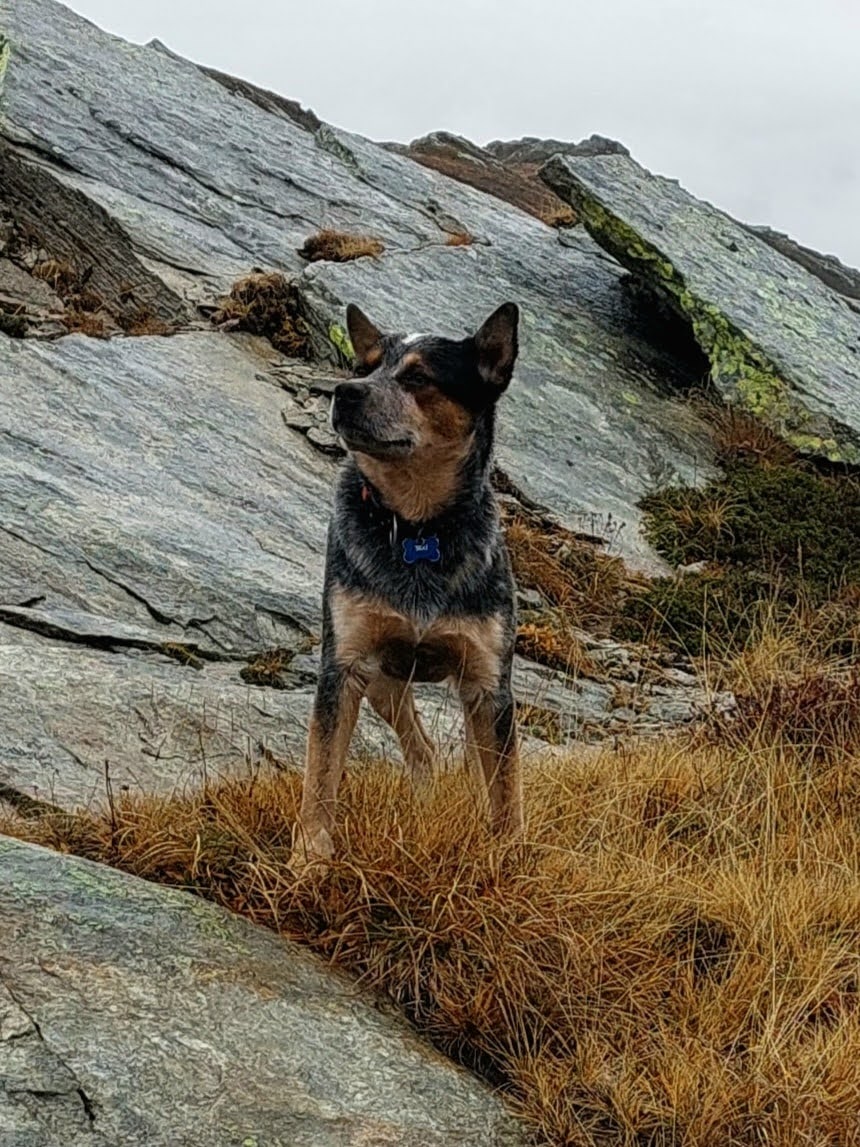 cvlt heidiland 2022 (7)