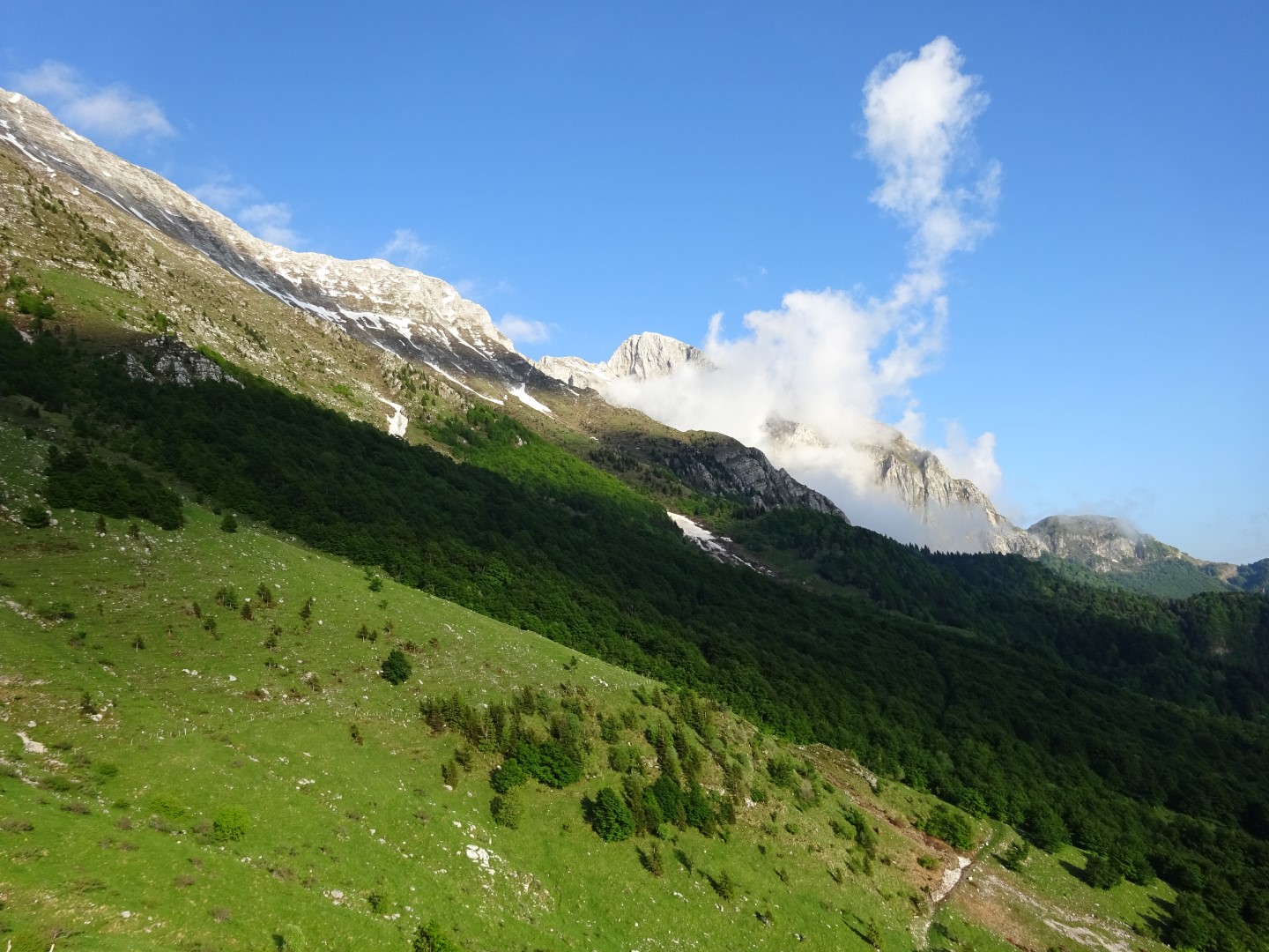 dsc00021 large 42808333652 o