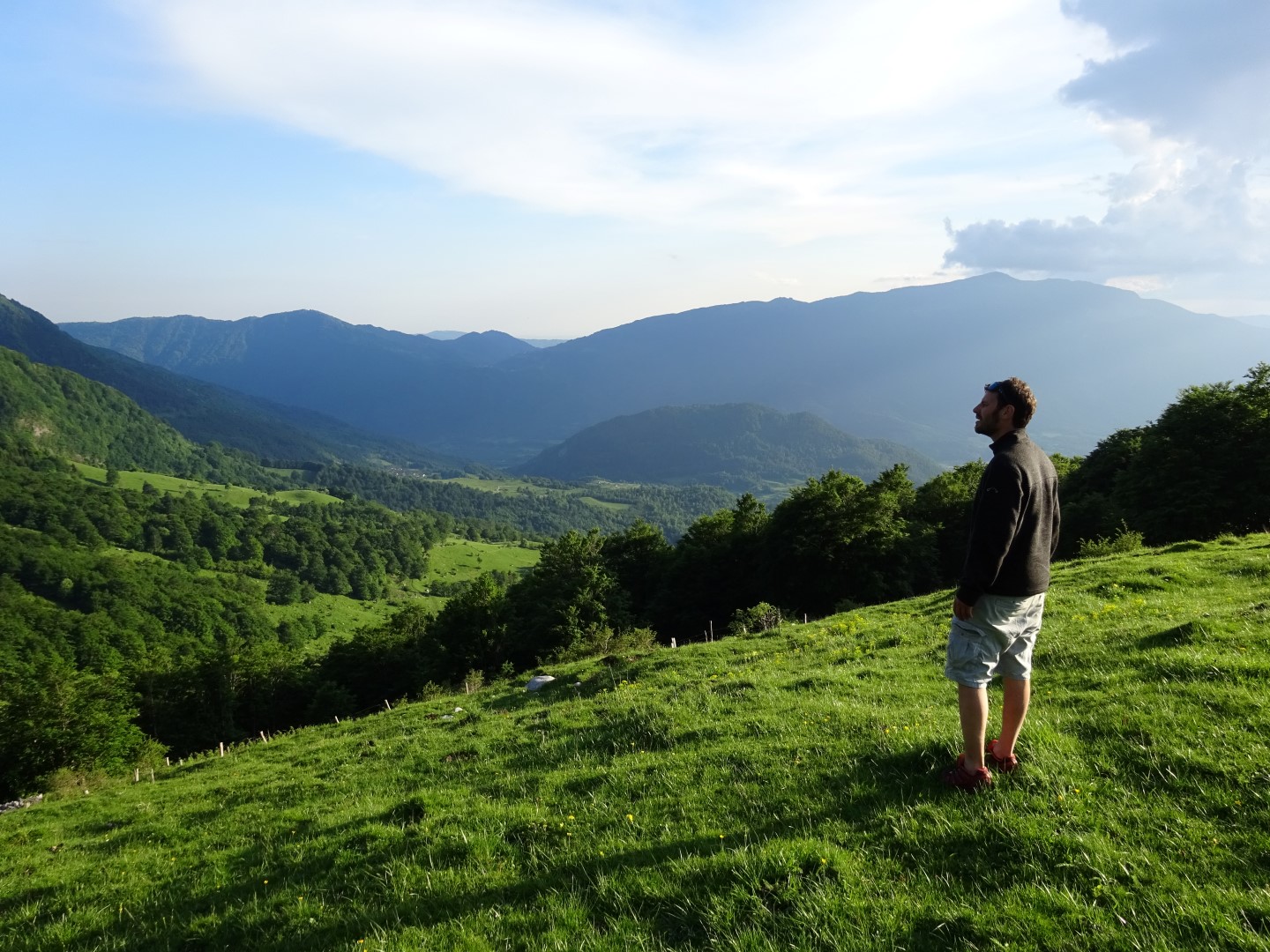 dsc00022 large 42856913251 o