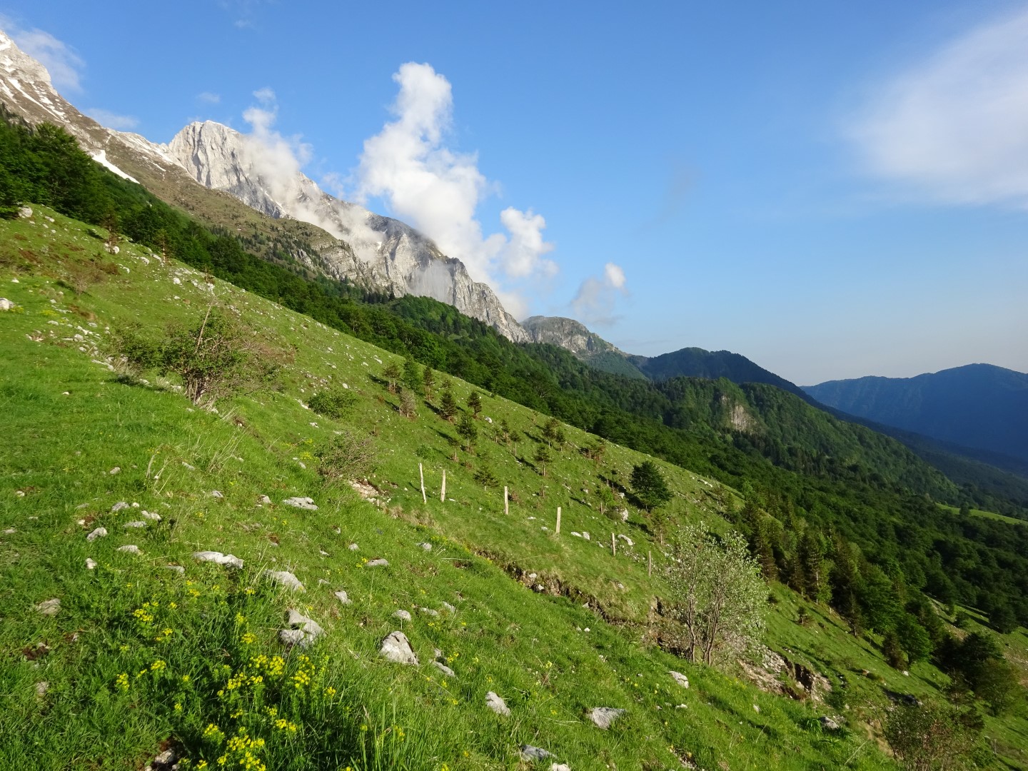 dsc00025 large 42139208774 o