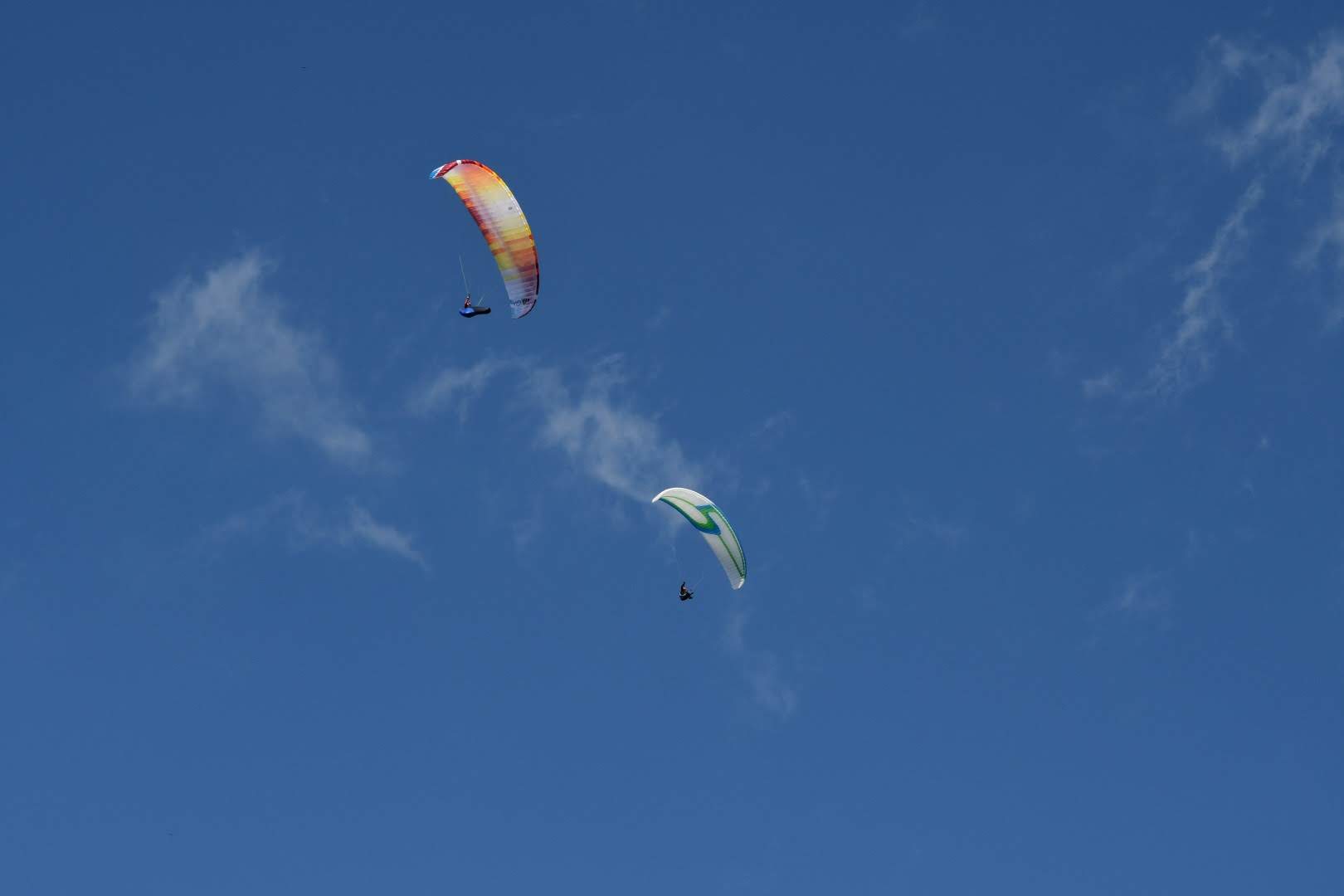 dsc 0732 37820103252 o