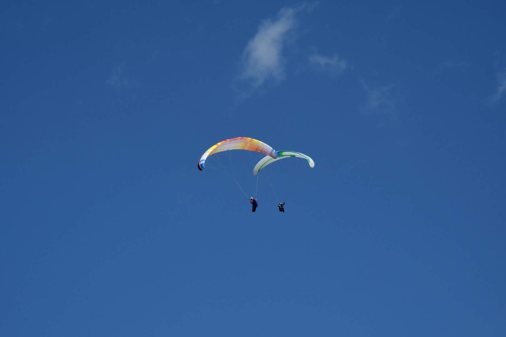 dsc 0733 37820103462 o