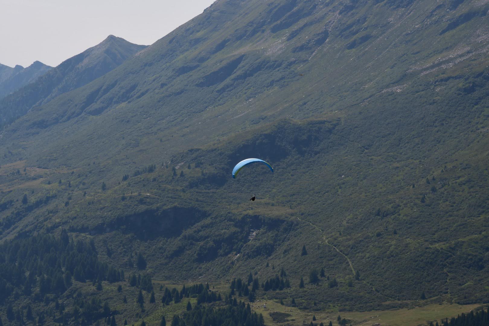 dsc 0787 37820096782 o