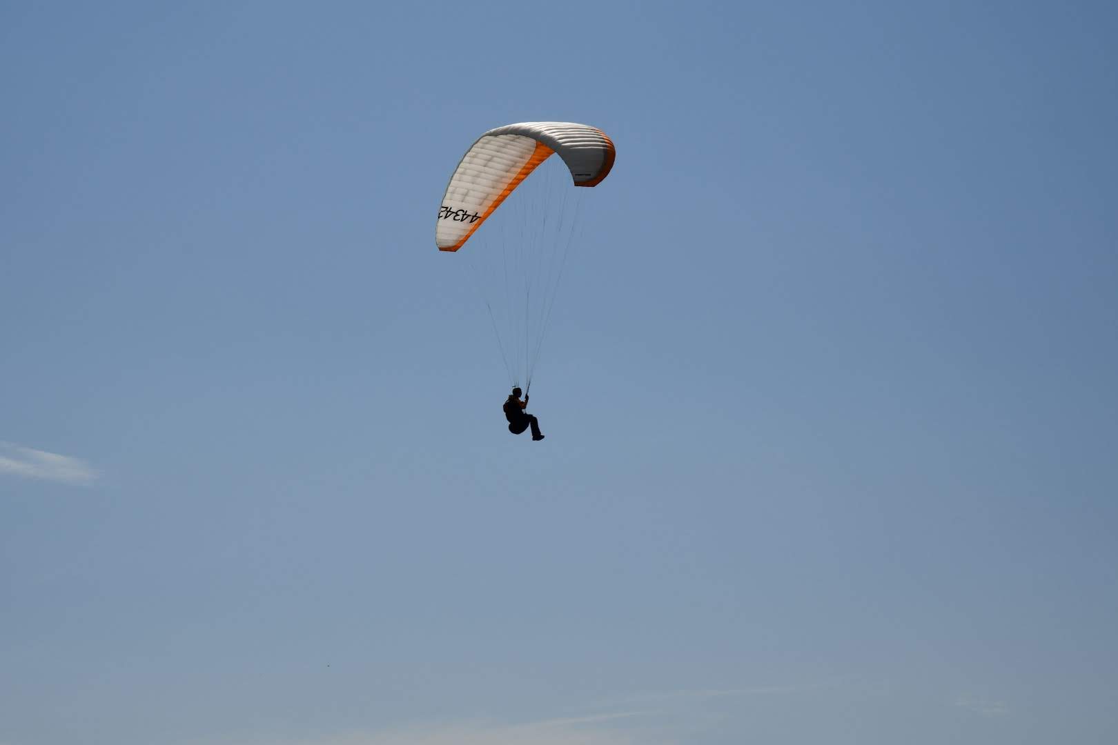 dsc 0822 37820090722 o